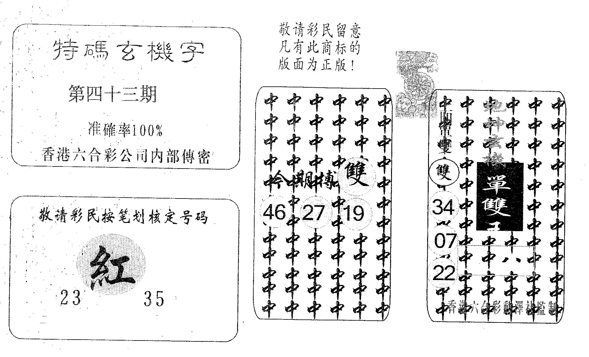 特码玄机字-43