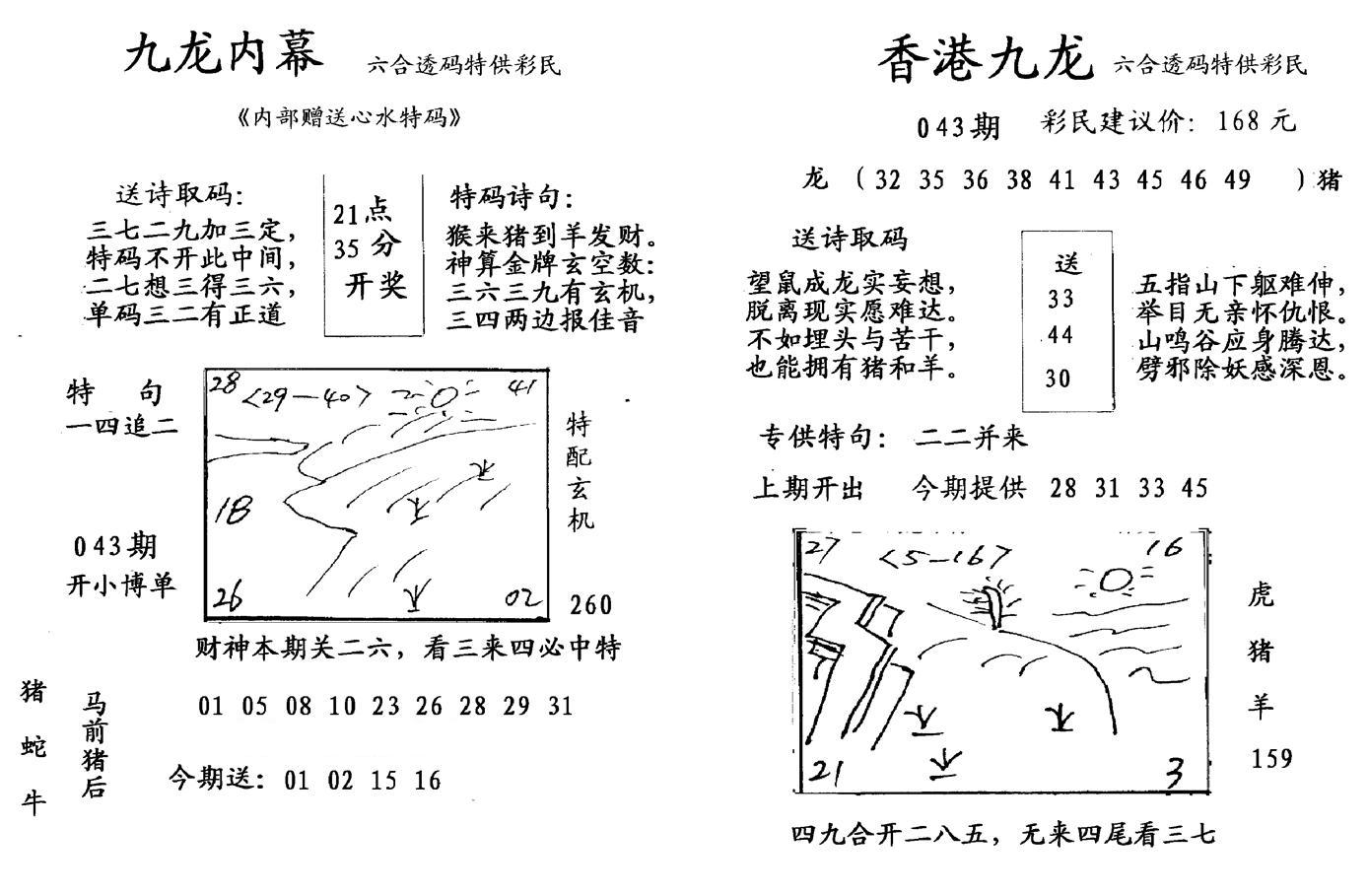 九龙内幕--开奖报-43