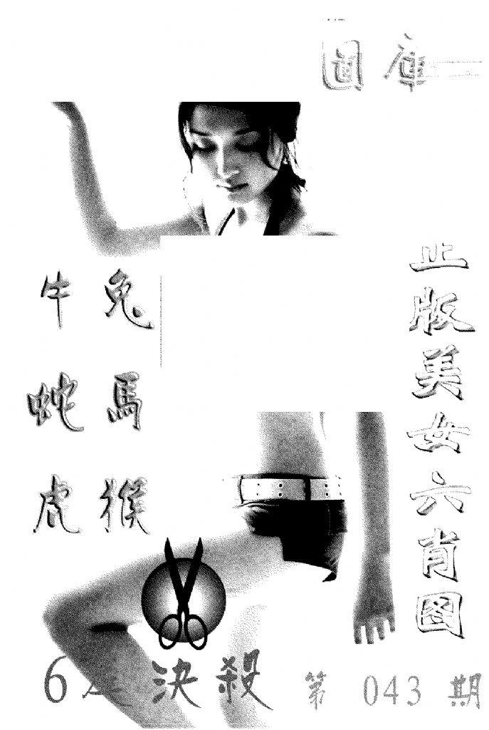 美女六肖报-43