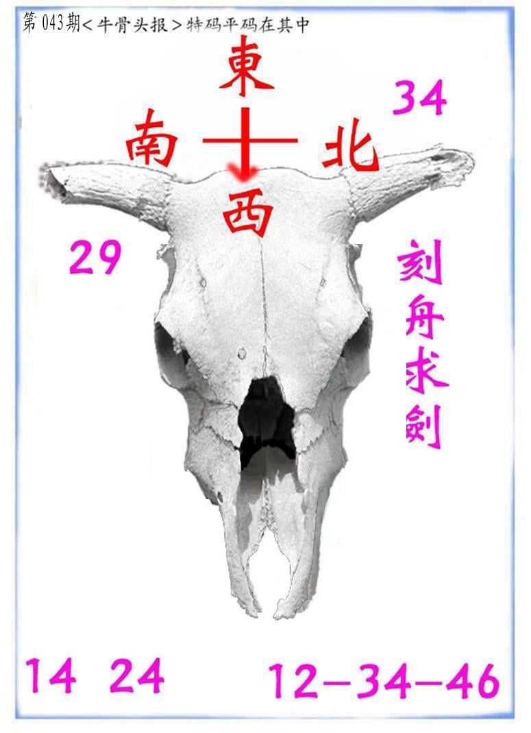 牛派系列7-43