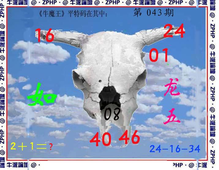 牛派系列8-43