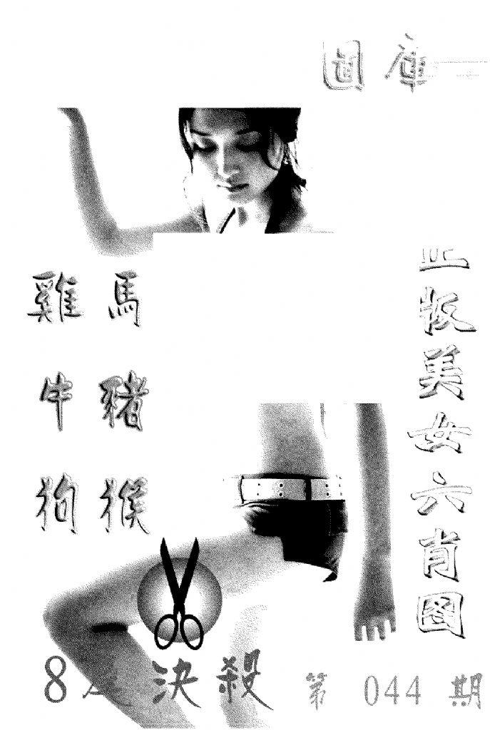 美女六肖报-44