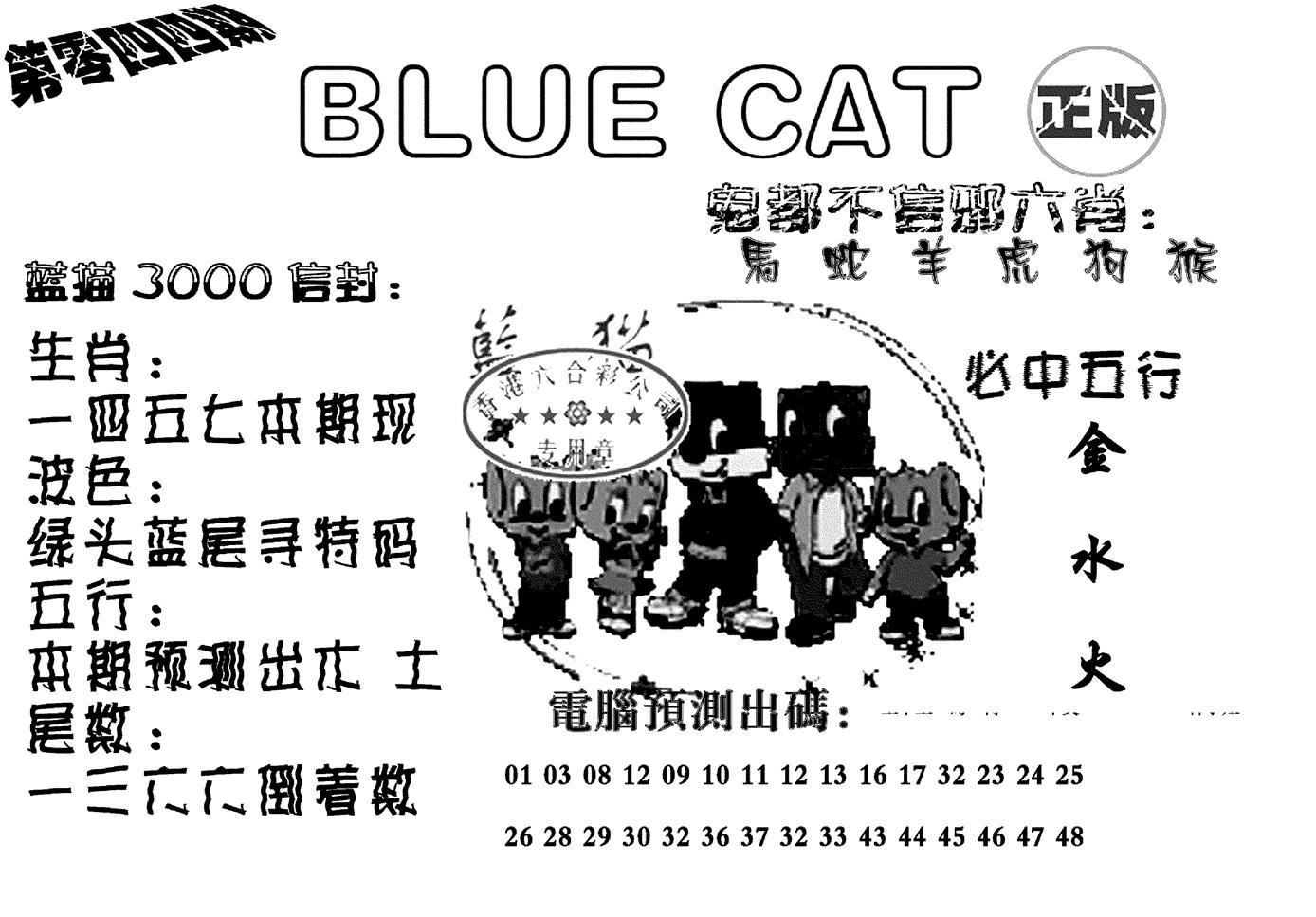 蓝猫Blue Cat-44