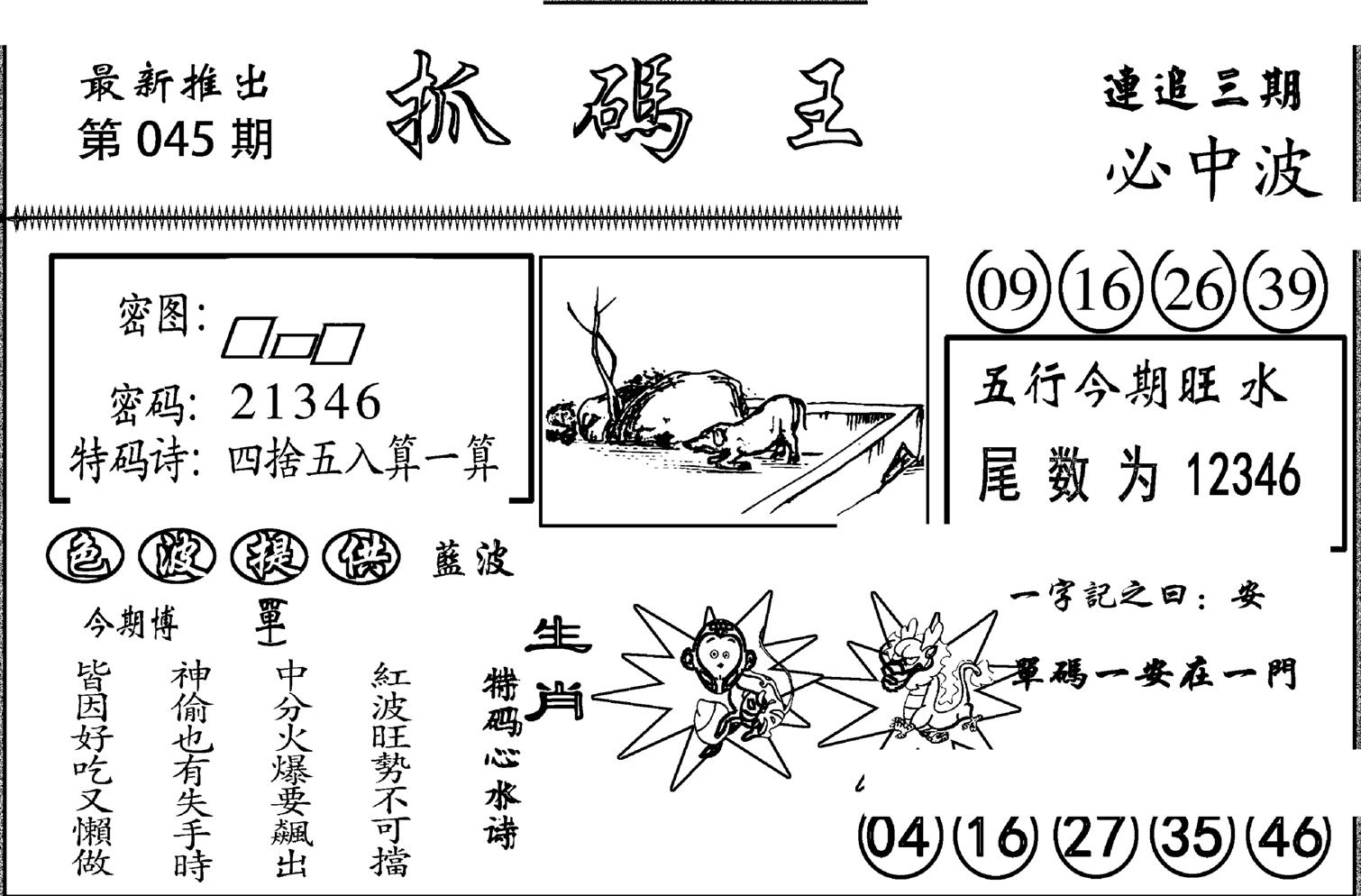 抓码王-45