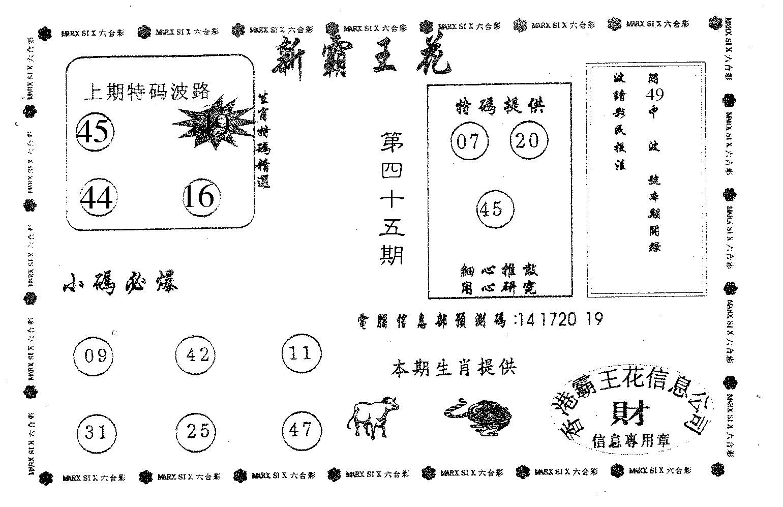 新霸王花-45