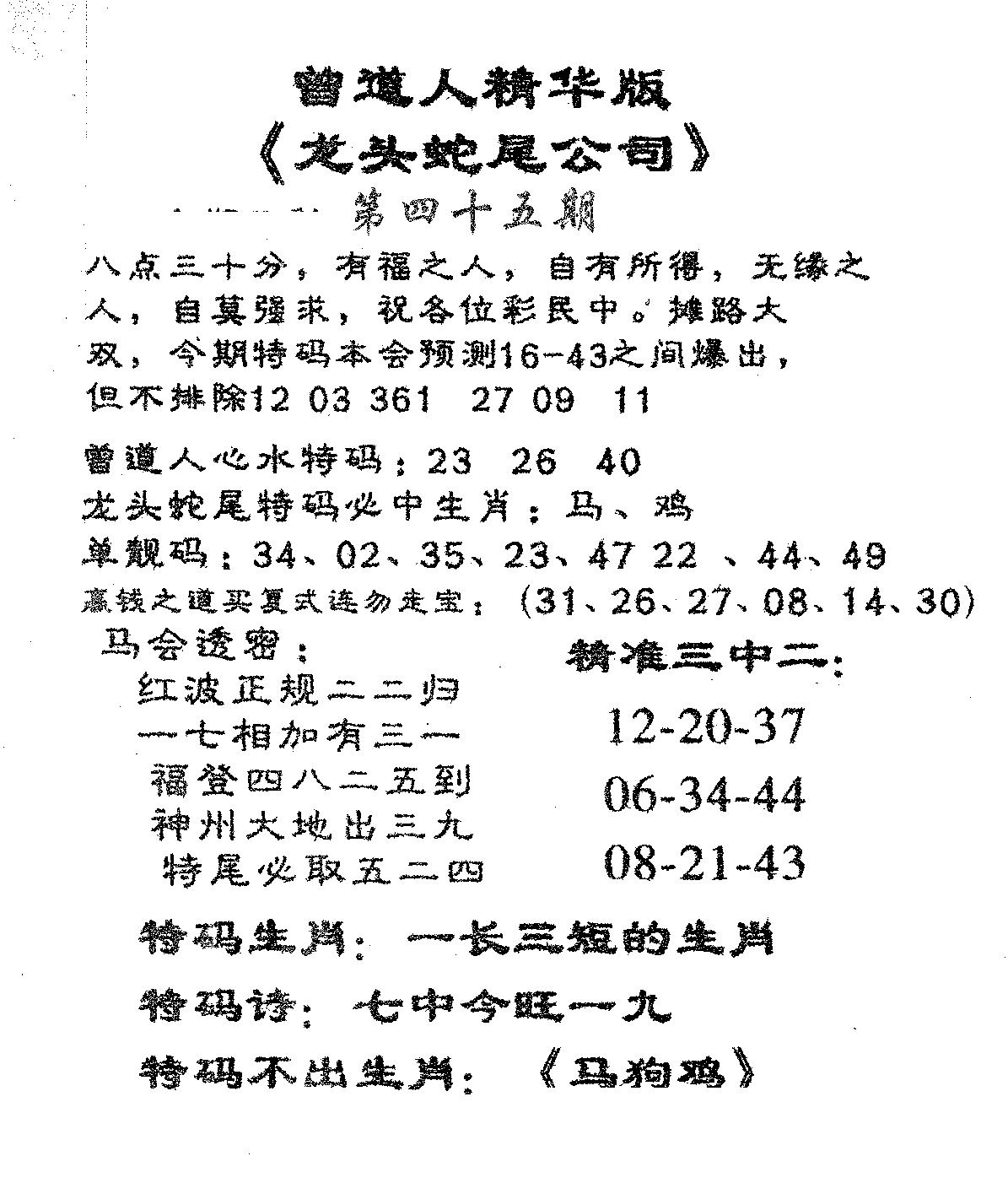 龙蛇精华-45