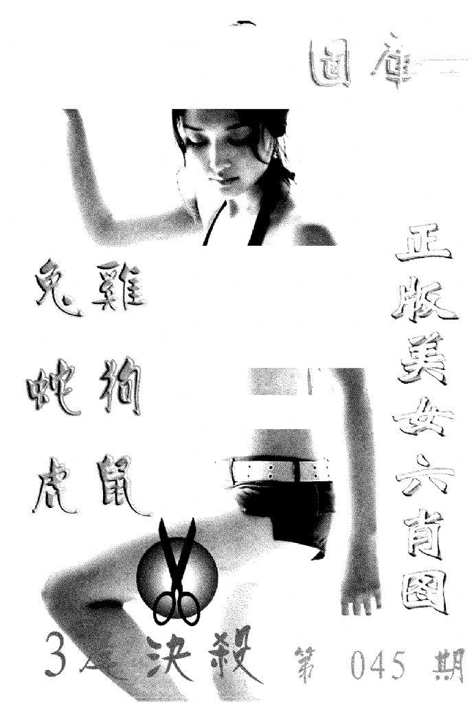 美女六肖报-45