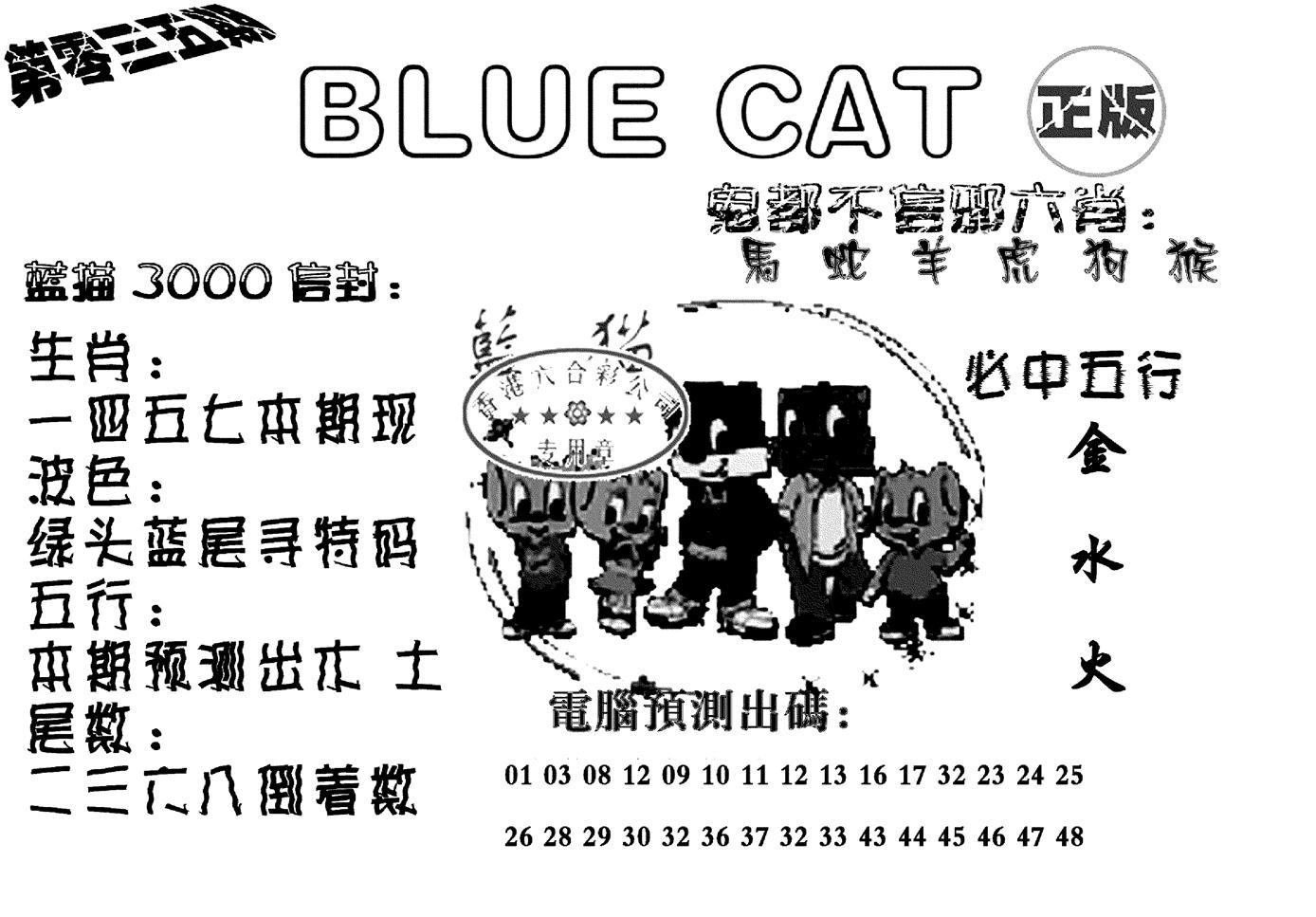 蓝猫Blue Cat-45