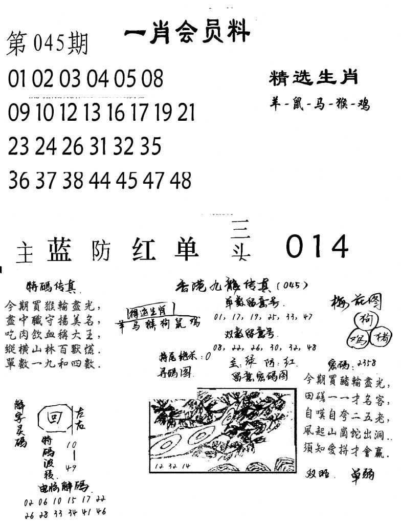 一肖会员料-45