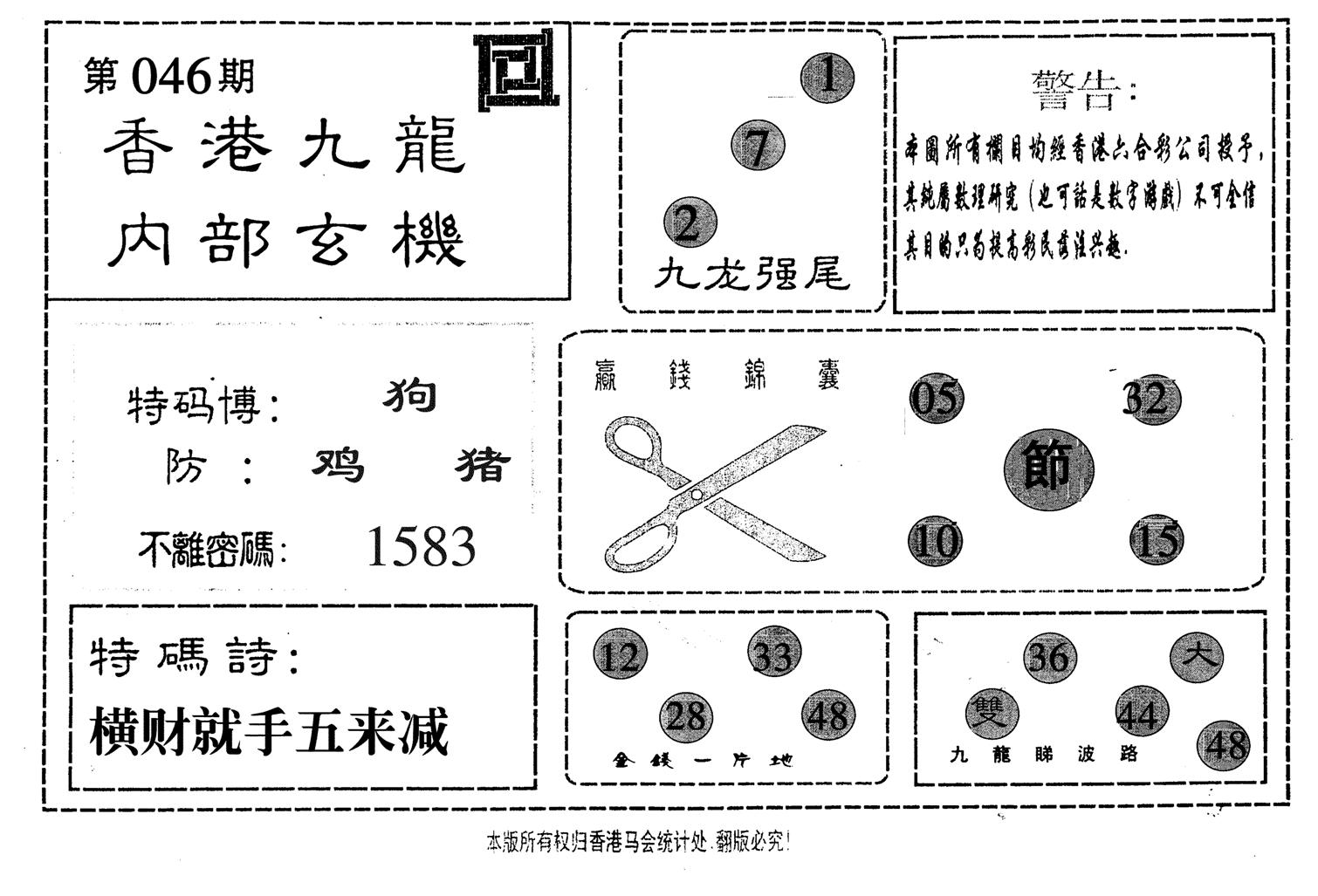 九龙内部-46