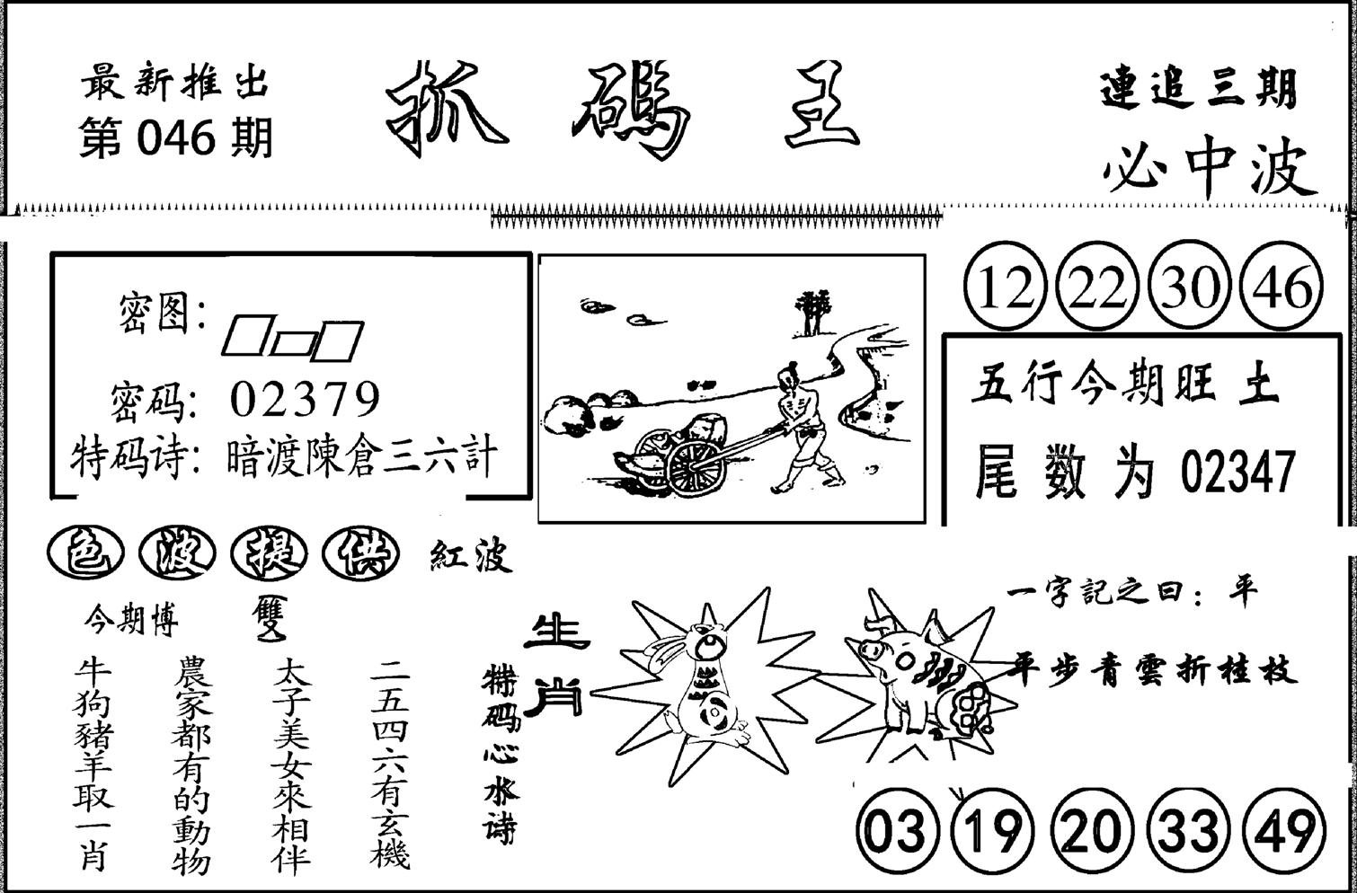 抓码王-46