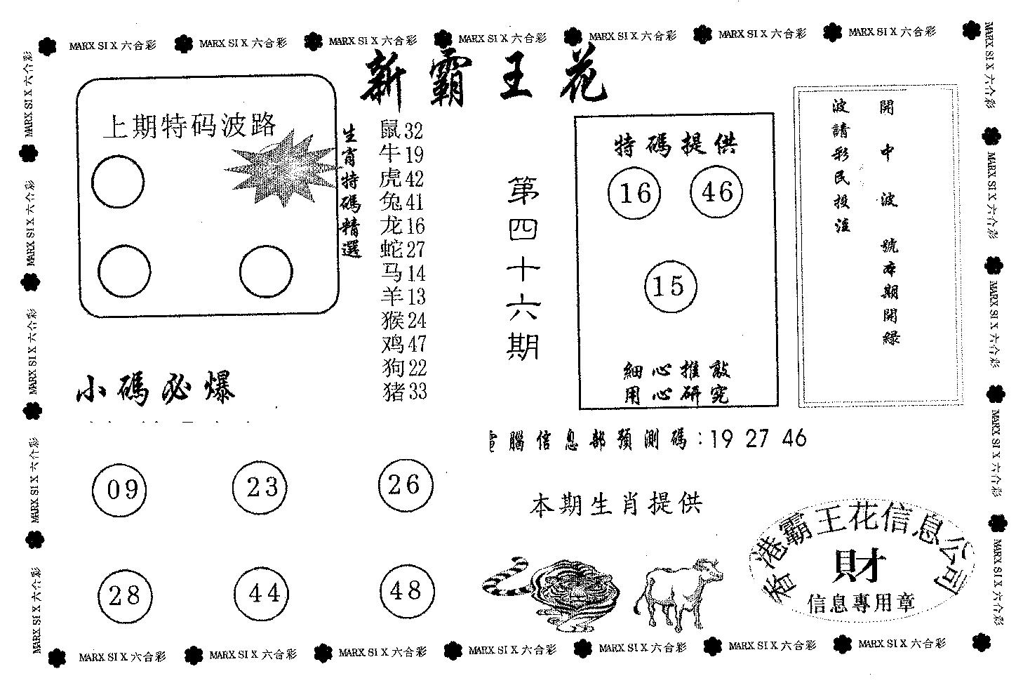 新霸王花-46