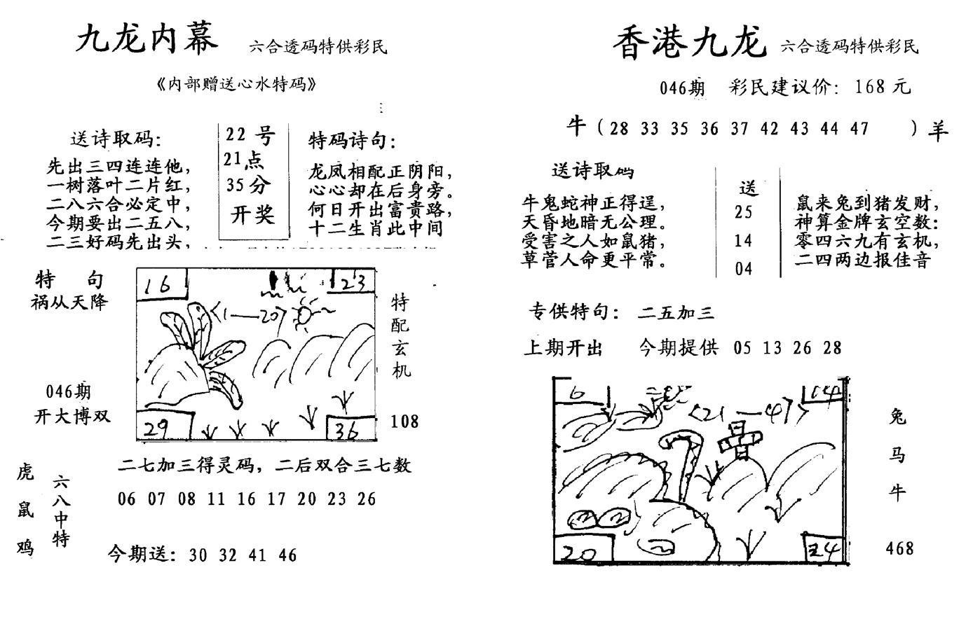 九龙内幕--开奖报-46