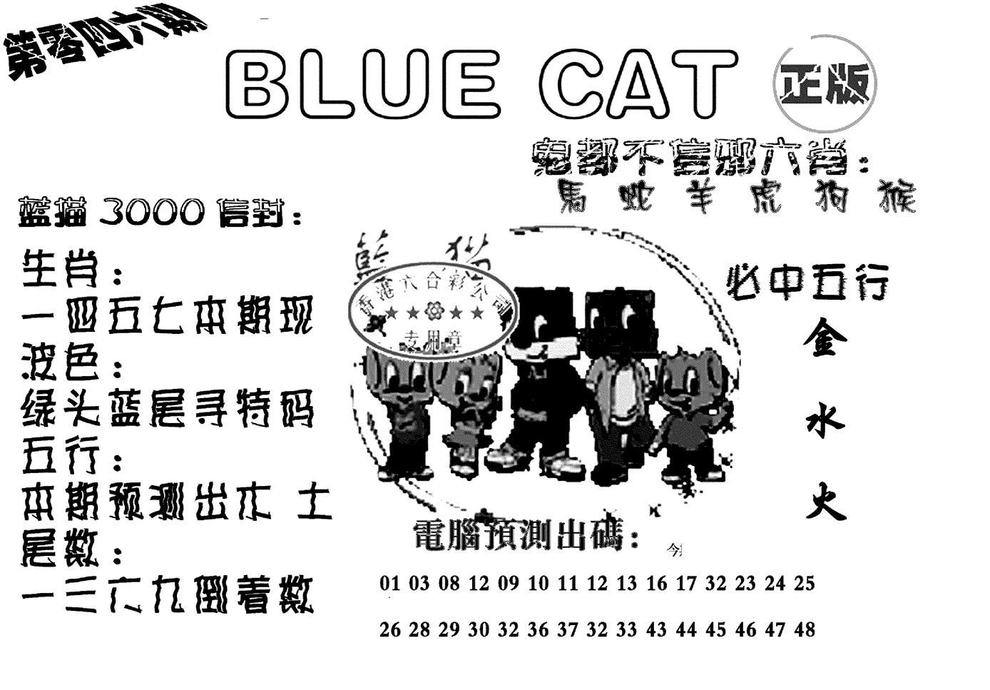 蓝猫Blue Cat-46