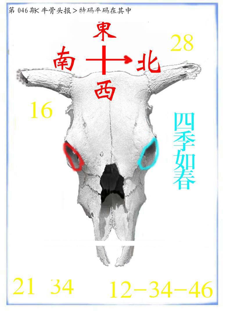 牛派系列7-46