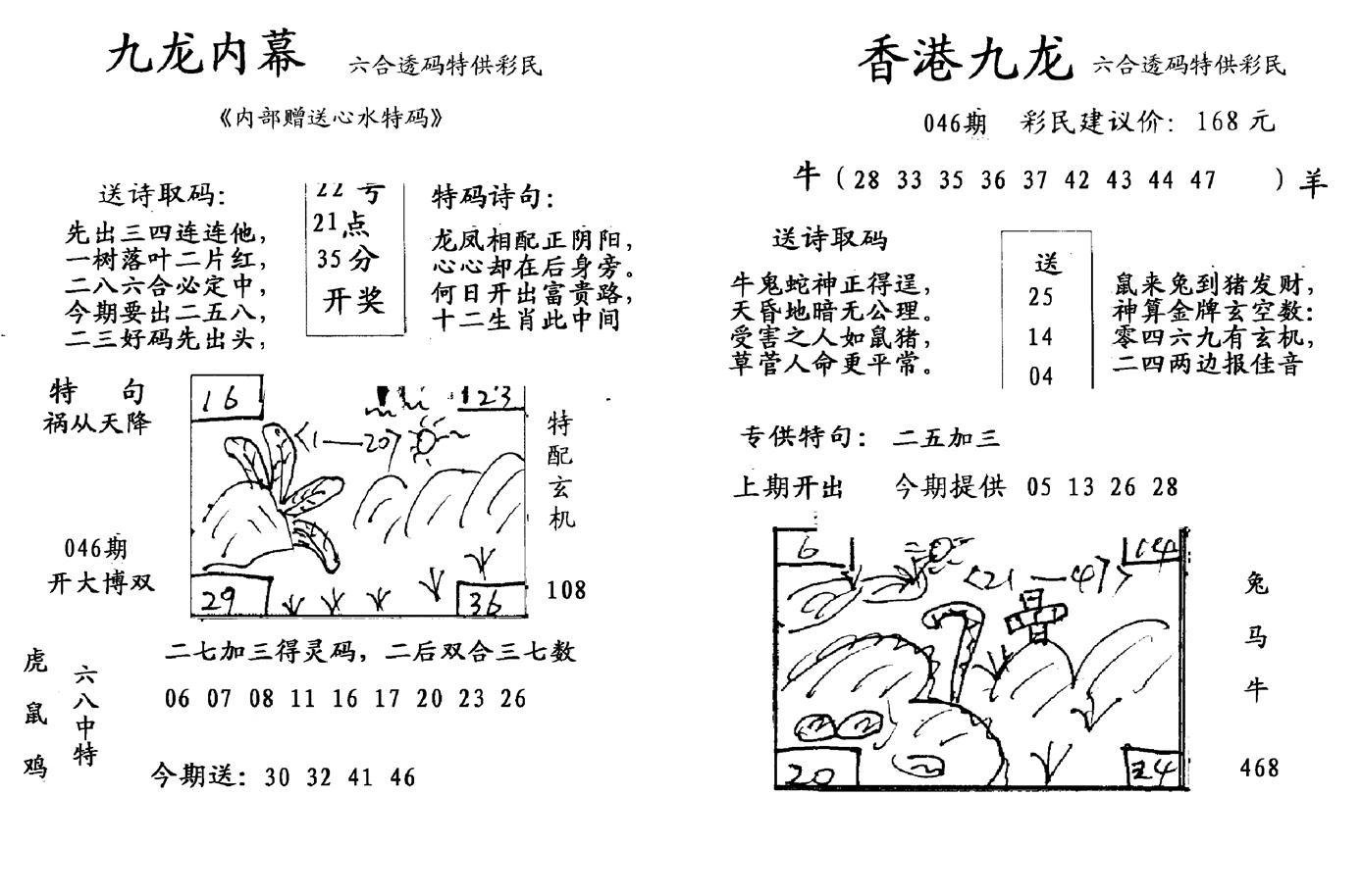 九龙内幕-开奖报(早图)-46