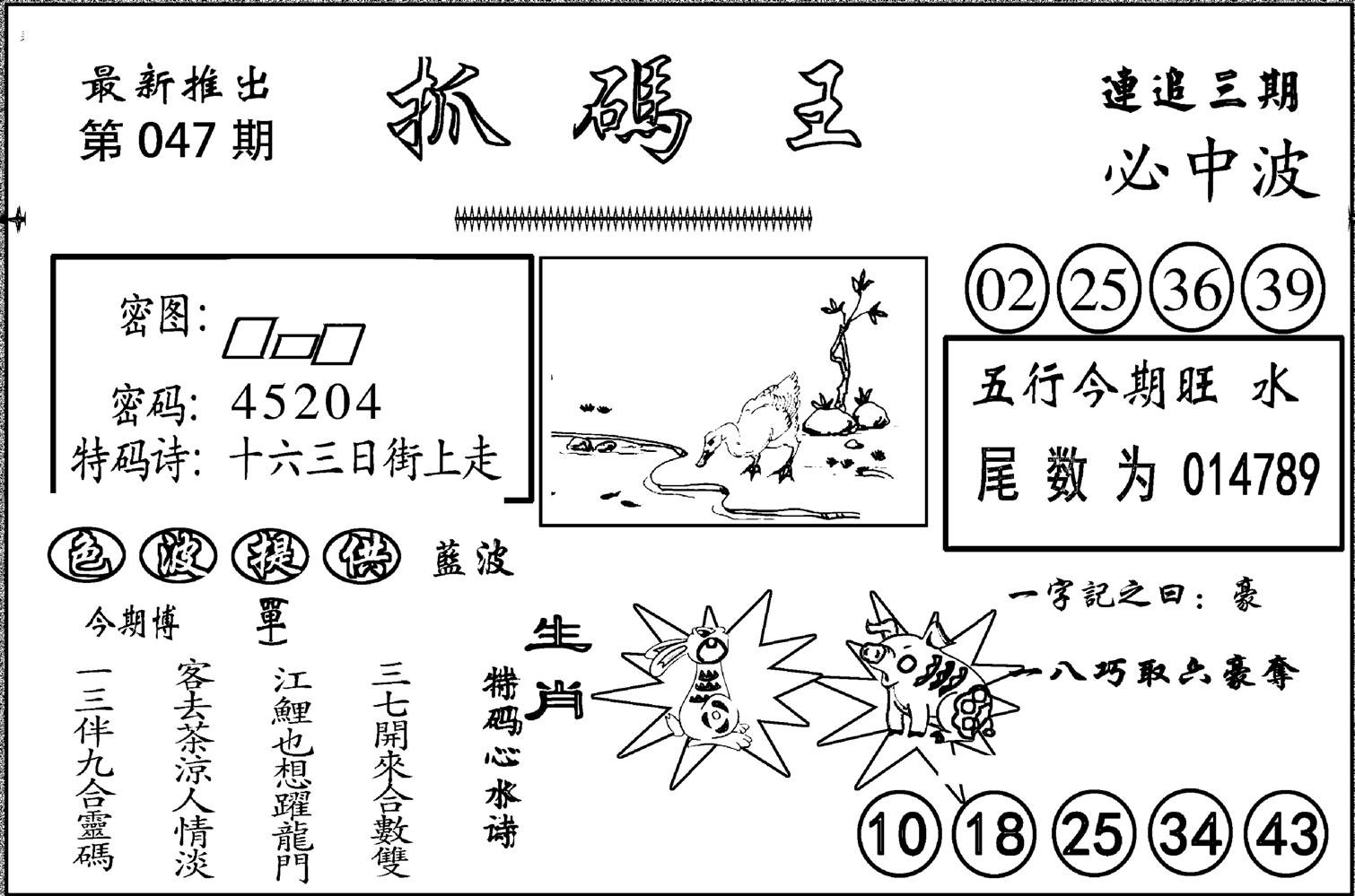 抓码王-47