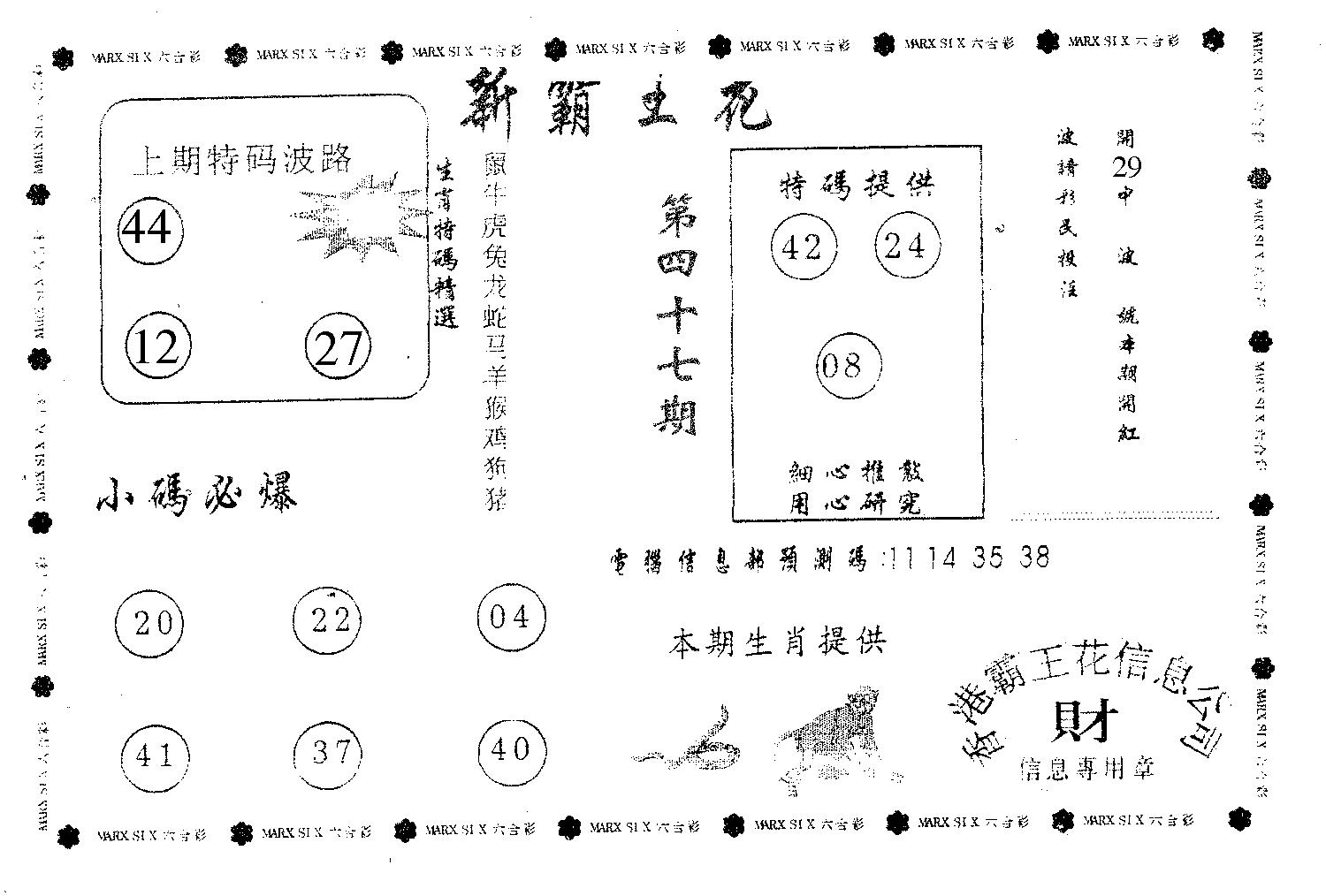 新霸王花-47