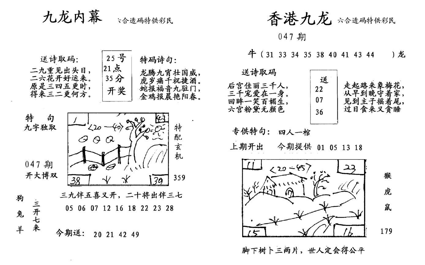 九龙内幕--开奖报-47