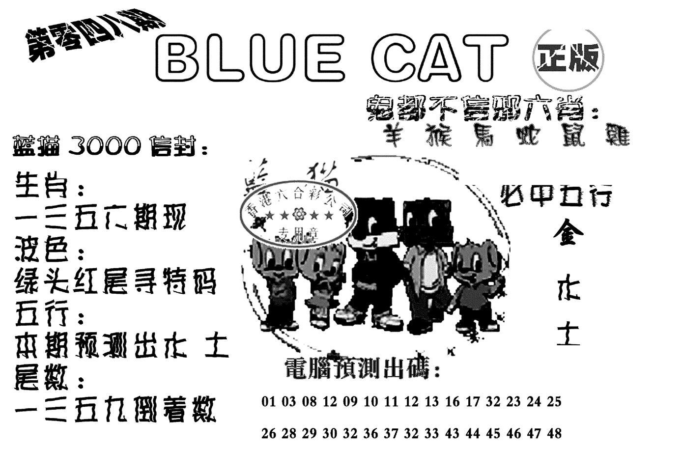 蓝猫Blue Cat-47