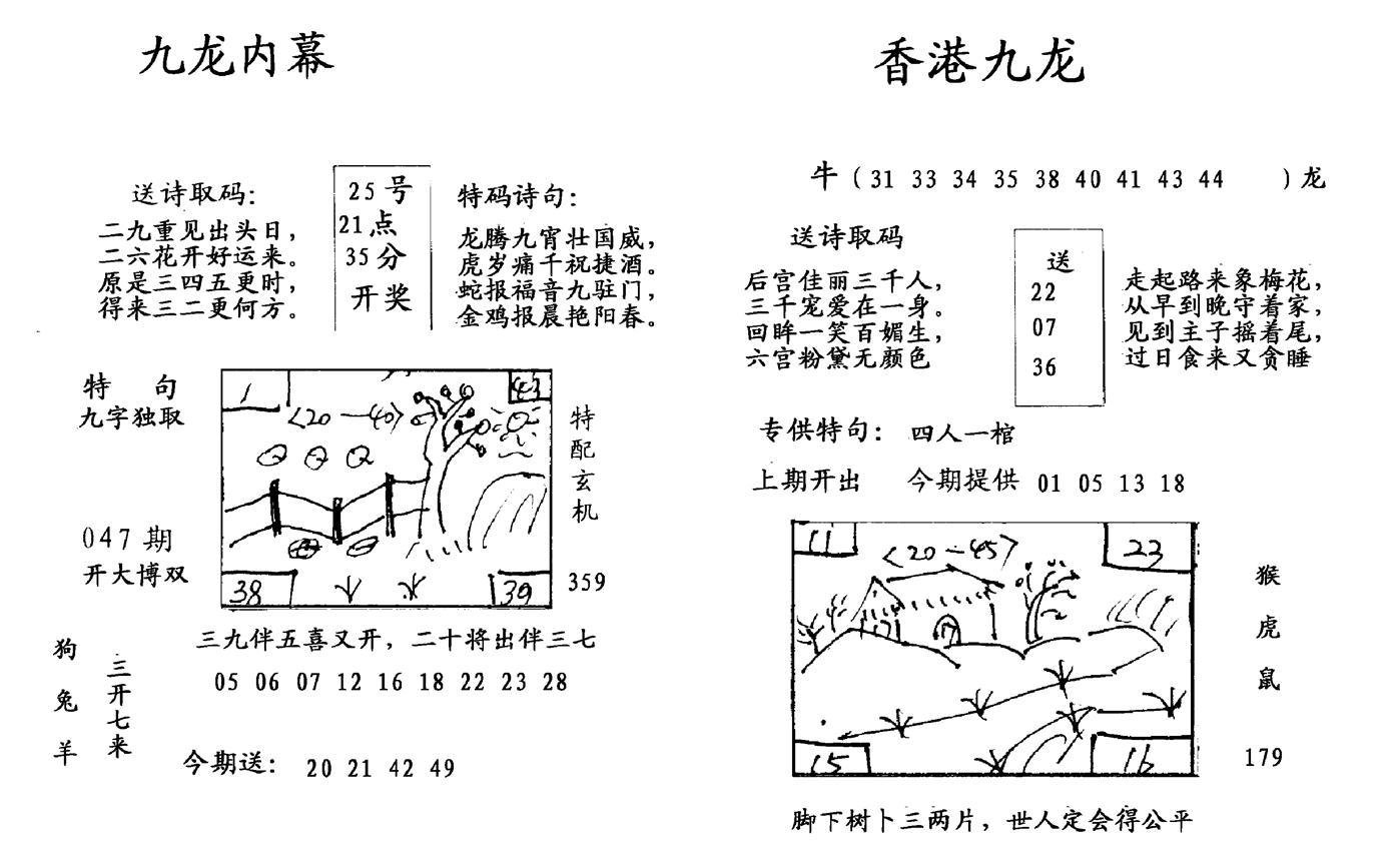 九龙内幕-开奖报(早图)-47