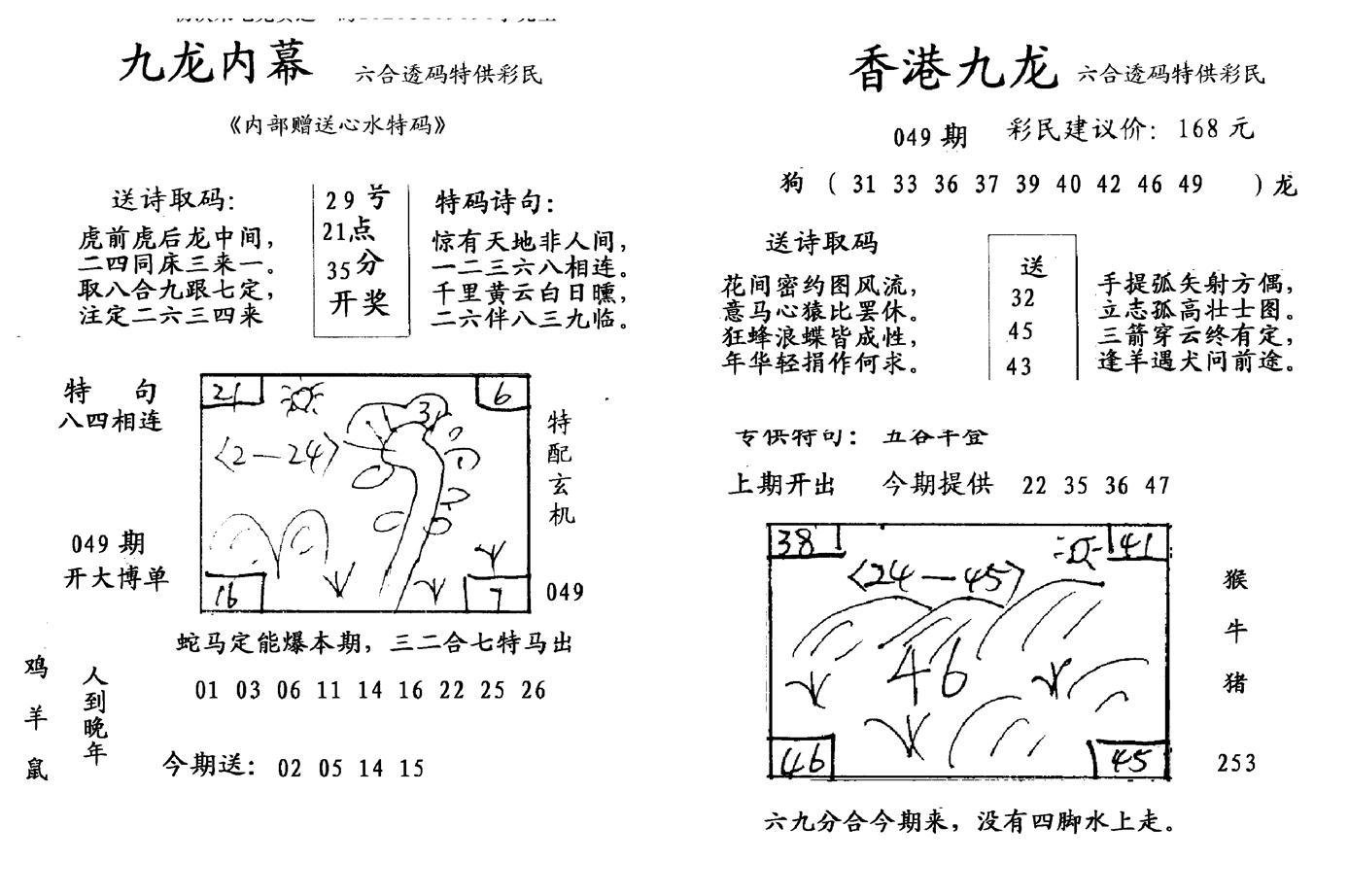 九龙内幕--开奖报-49