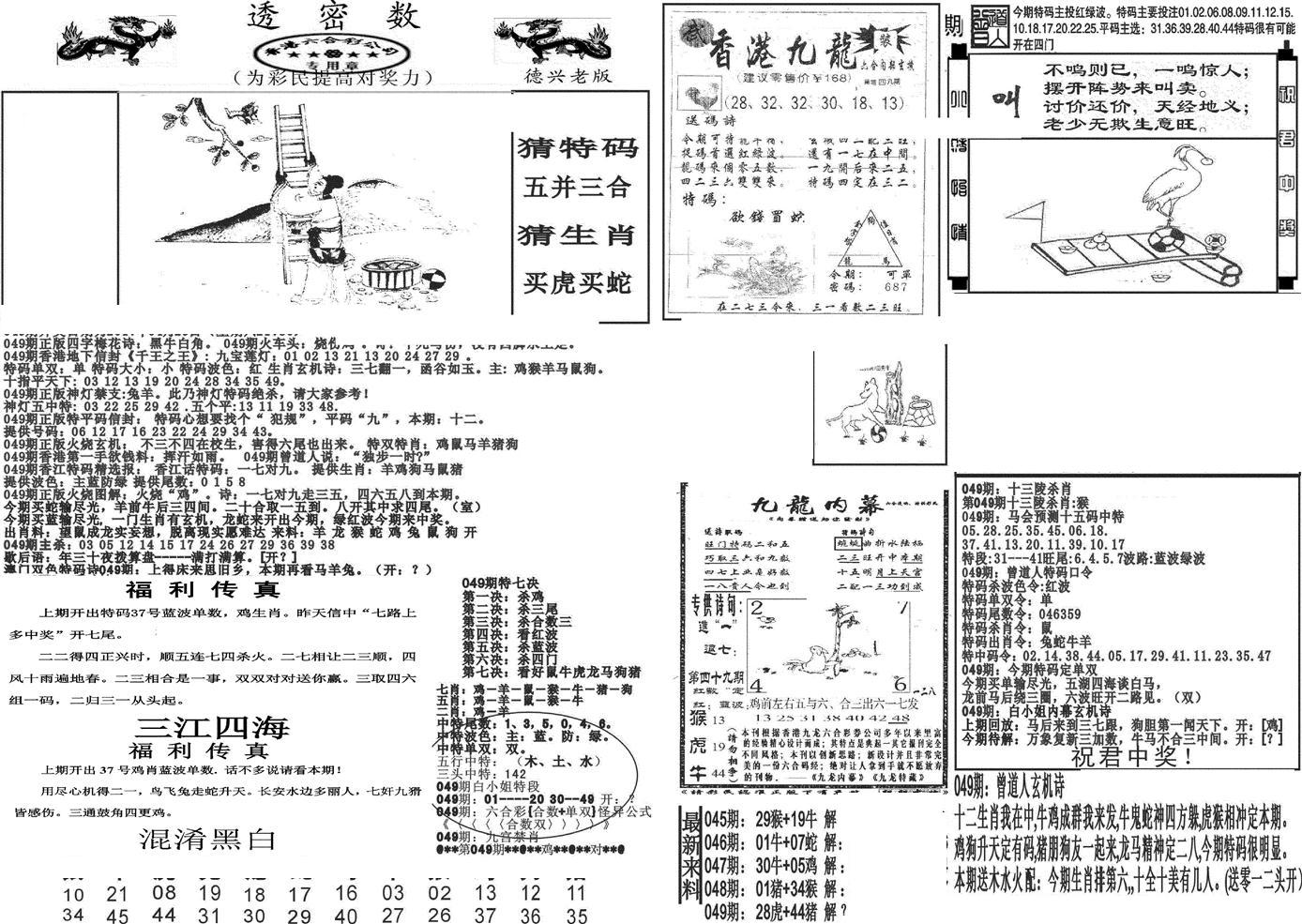 新透密数A(新)-49