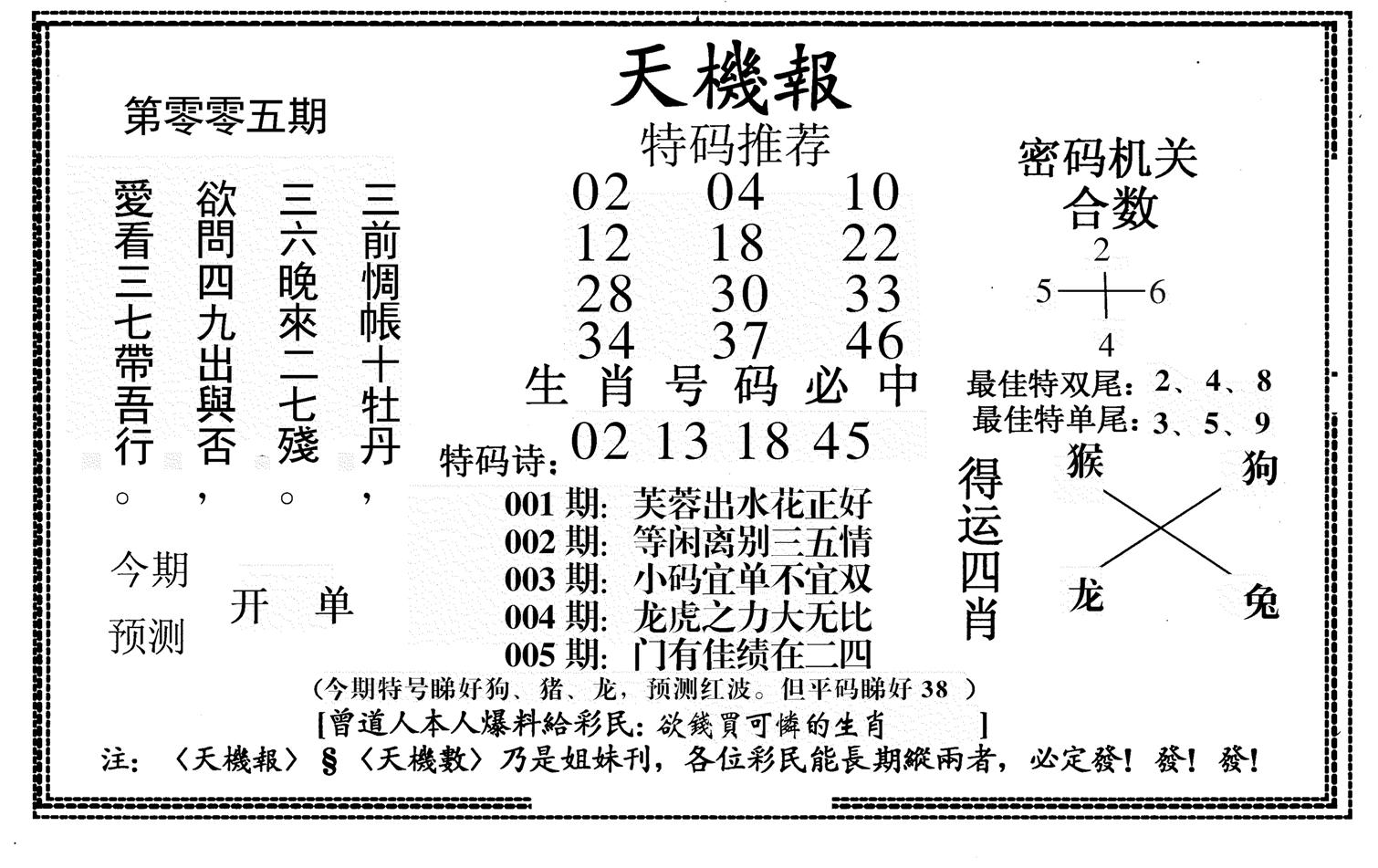 新天机报-5