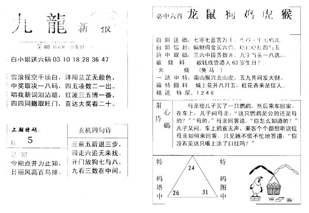 九龙新报(新)-5