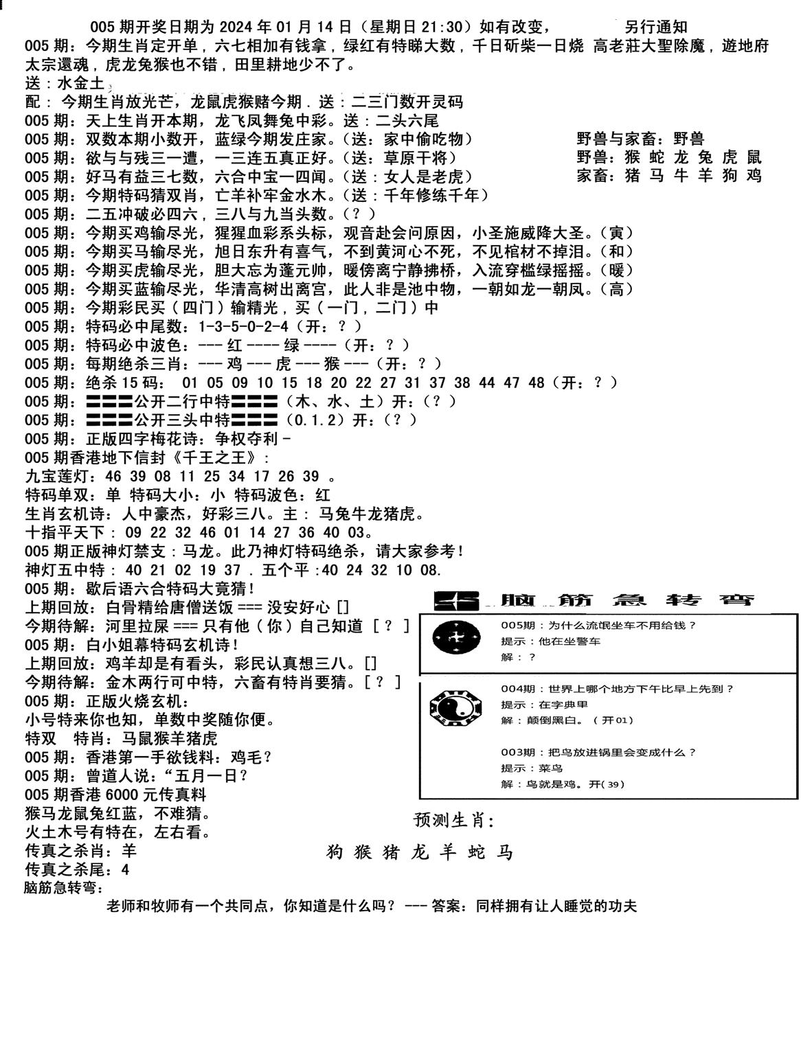 马会小综合-5