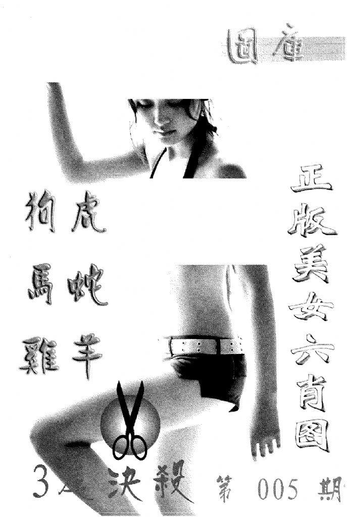 美女六肖报-5