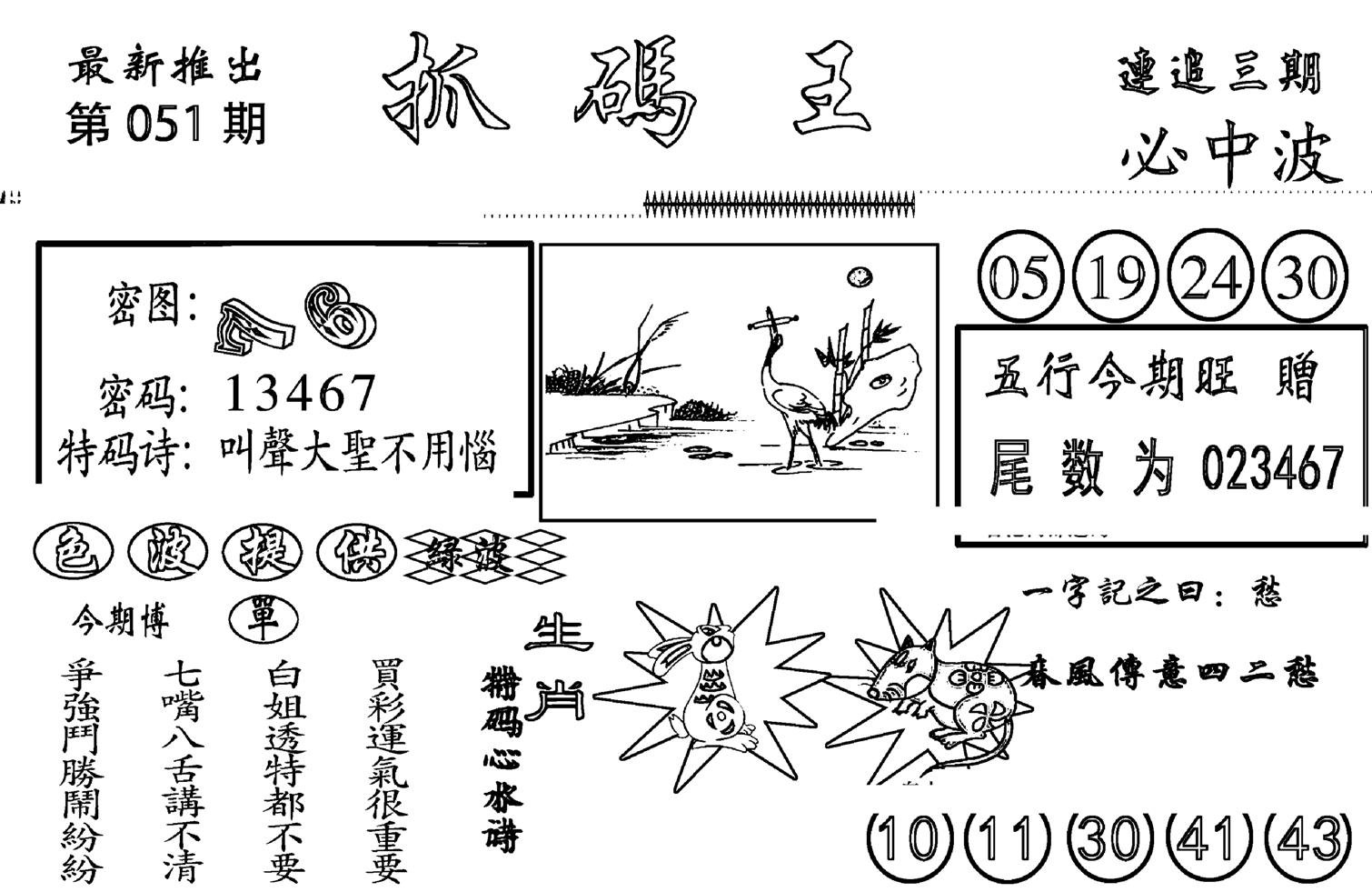 抓码王-51