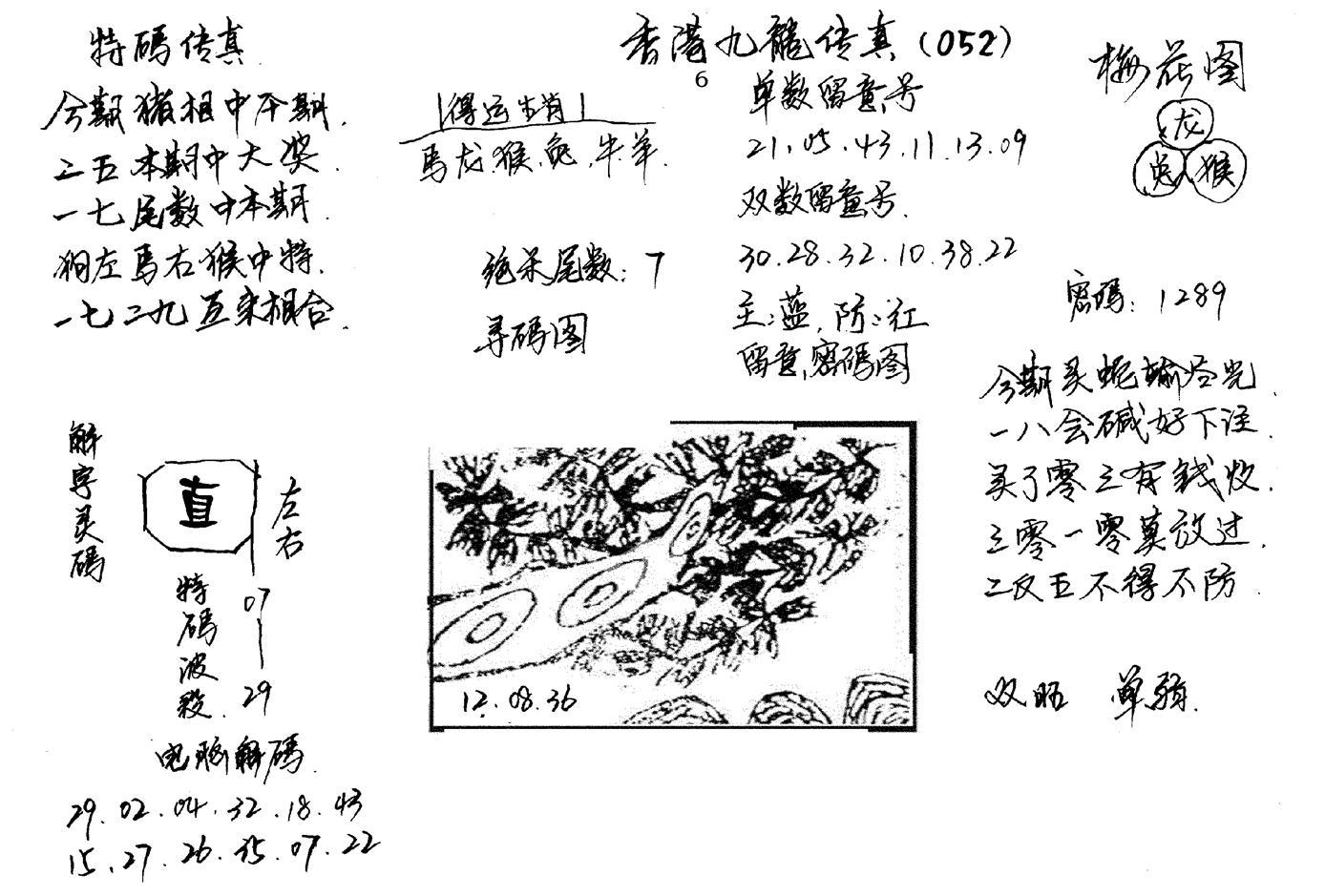 特码传真梅花图(手写版)-52