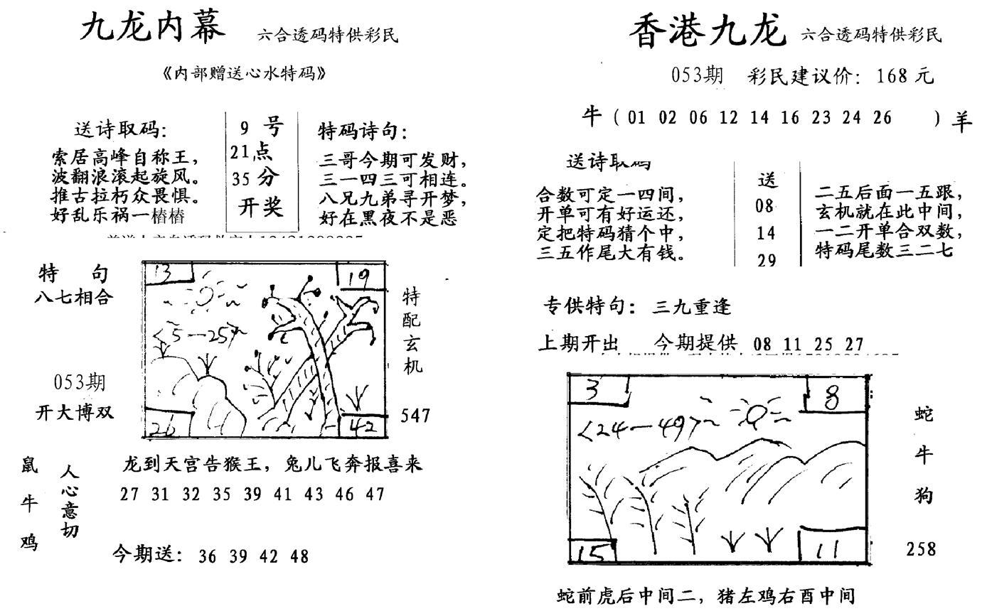 九龙内幕--开奖报-53