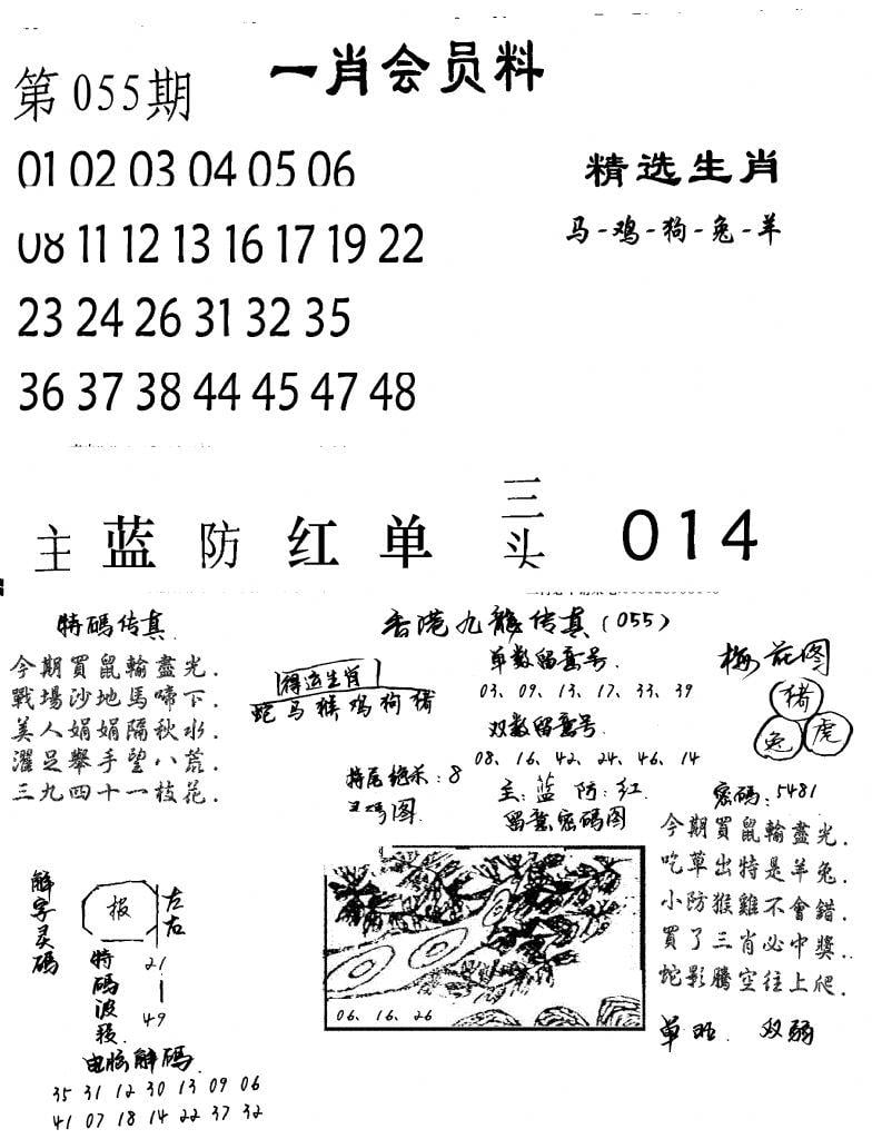 一肖会员料-55