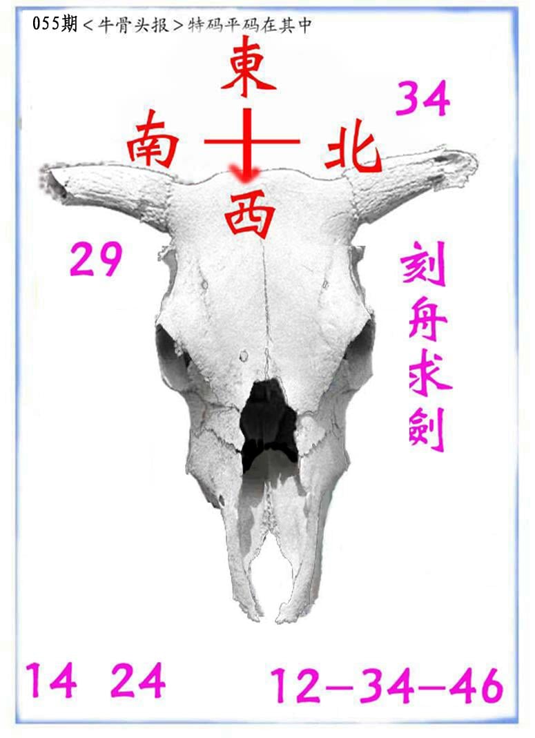 牛派系列7-55