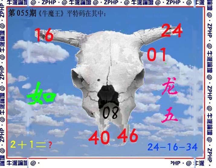 牛派系列8-55