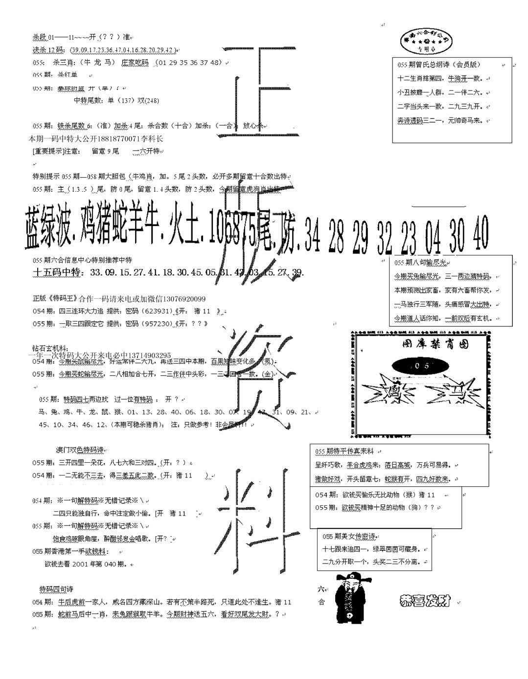 正版资料-55