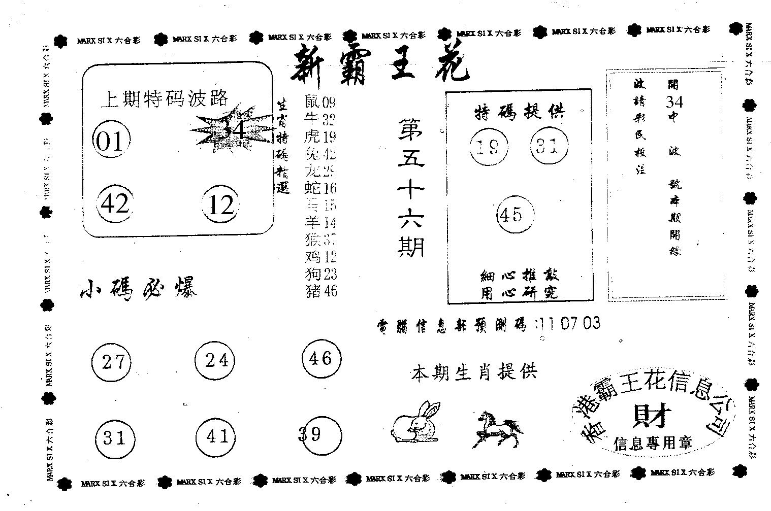 新霸王花-56