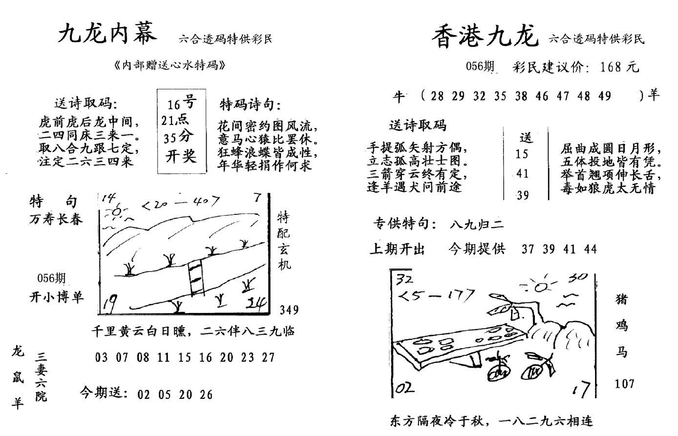 九龙内幕--开奖报-56