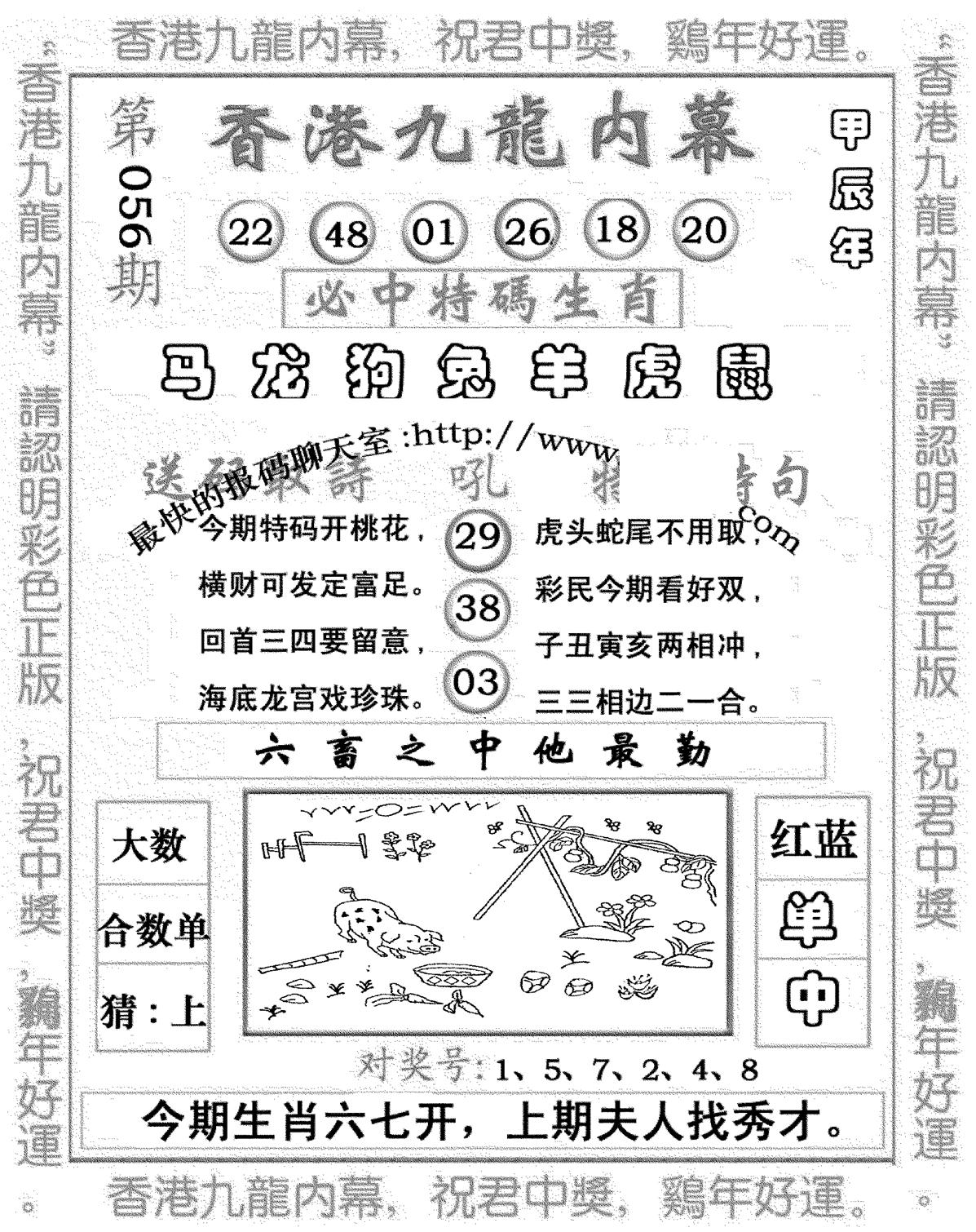 九龙内幕七肖图(新图)-56