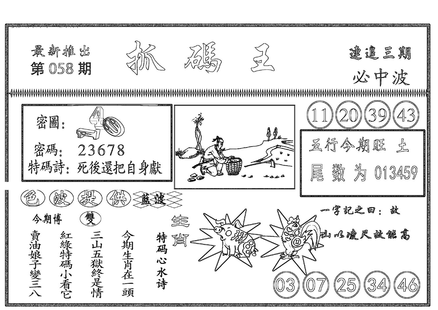 抓码王-58