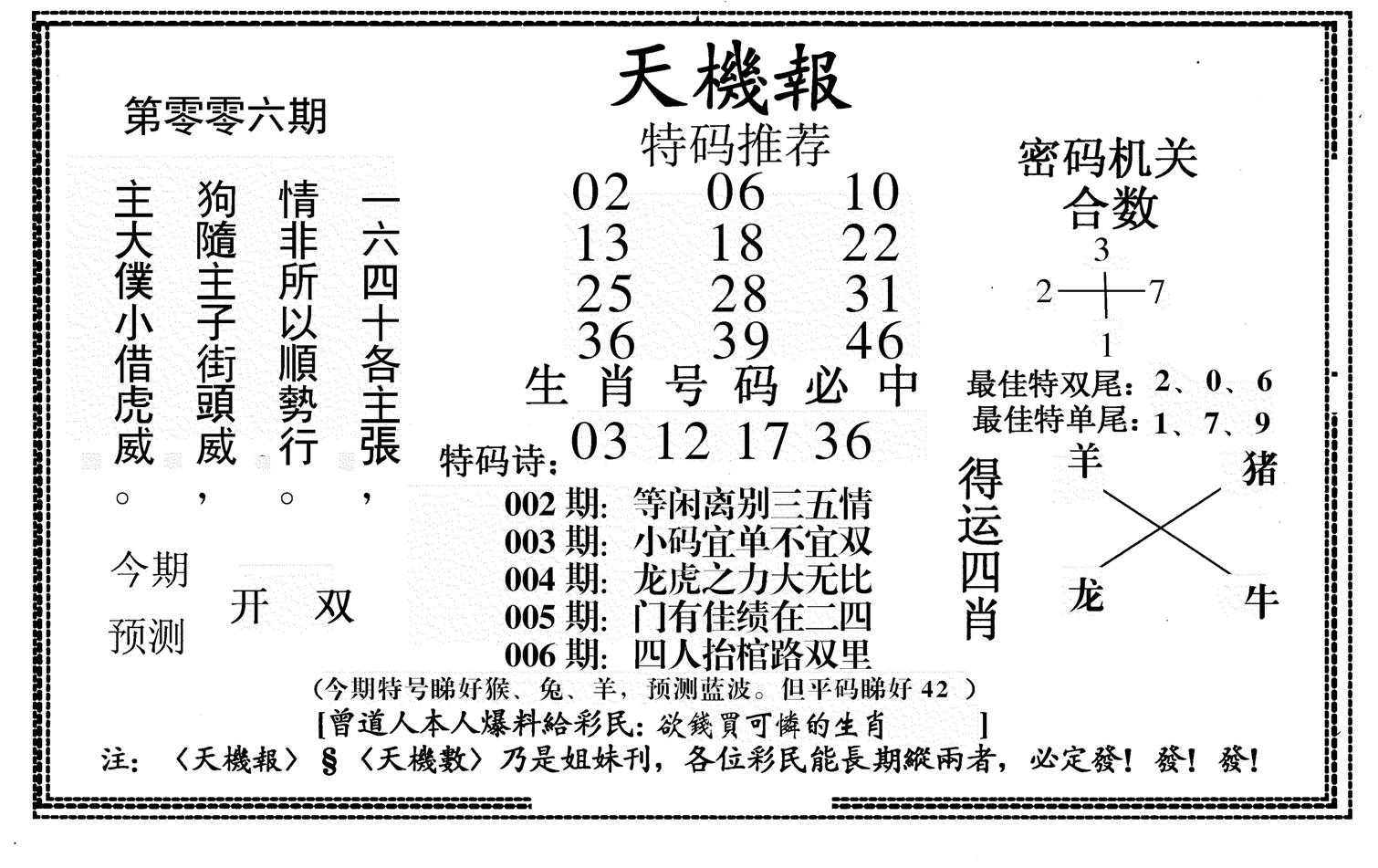 新天机报-6