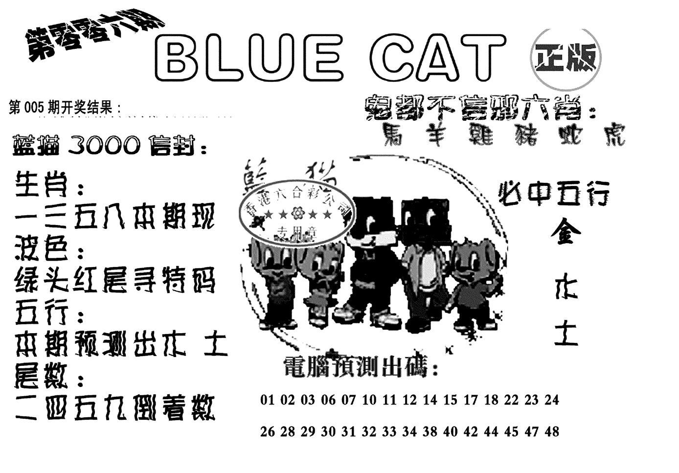 蓝猫Blue Cat-6