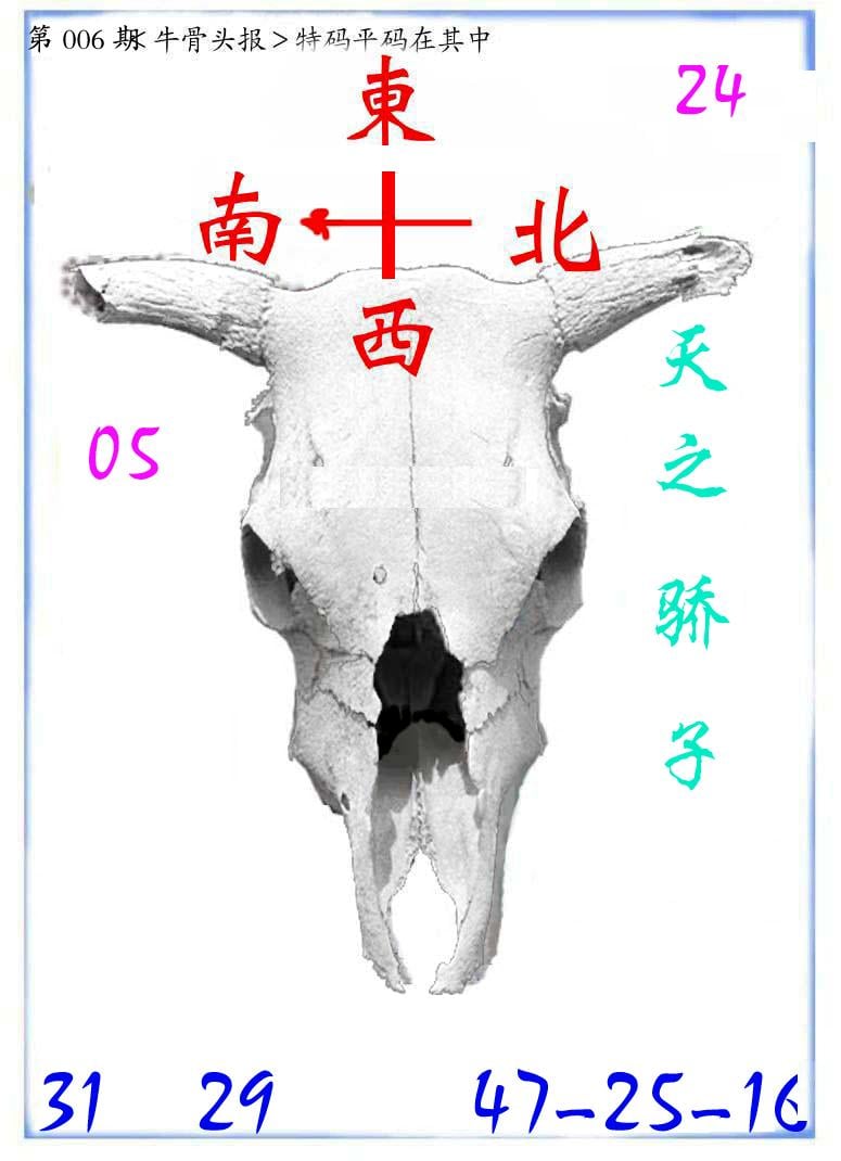 牛派系列7-6