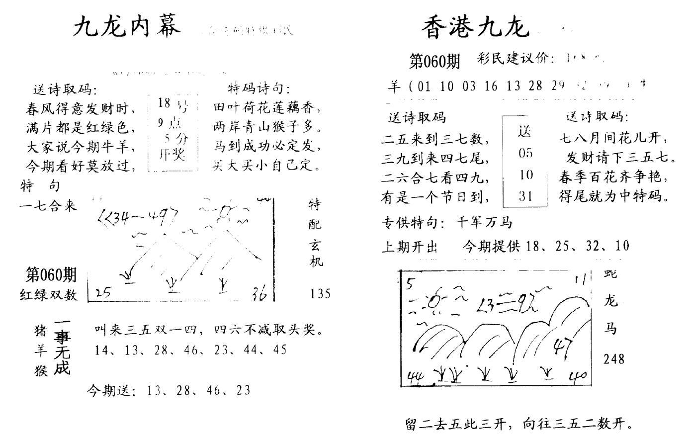 九龙内幕--开奖报-60