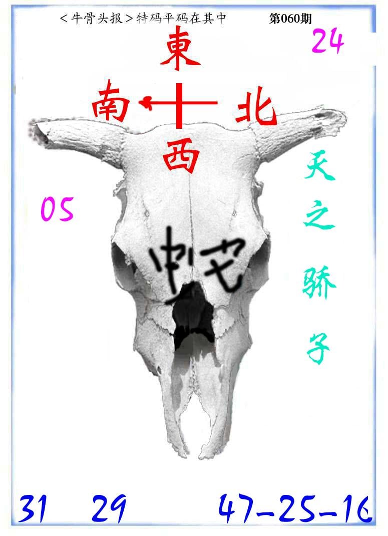 牛派系列7-60