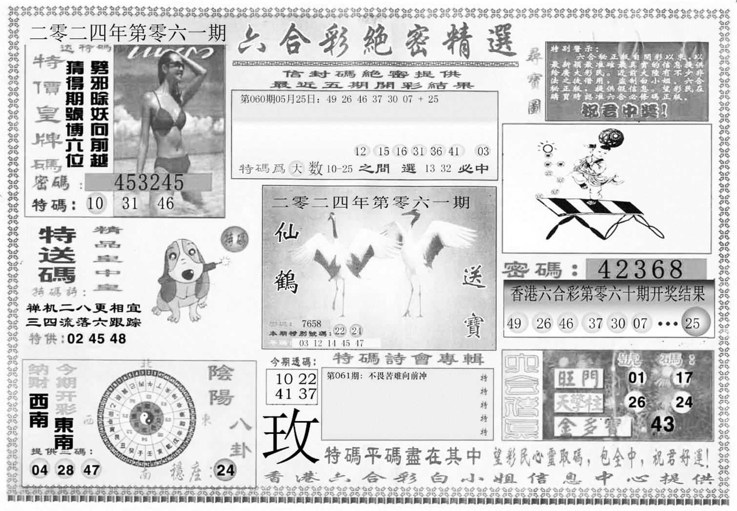 白姐绝密精选A-61