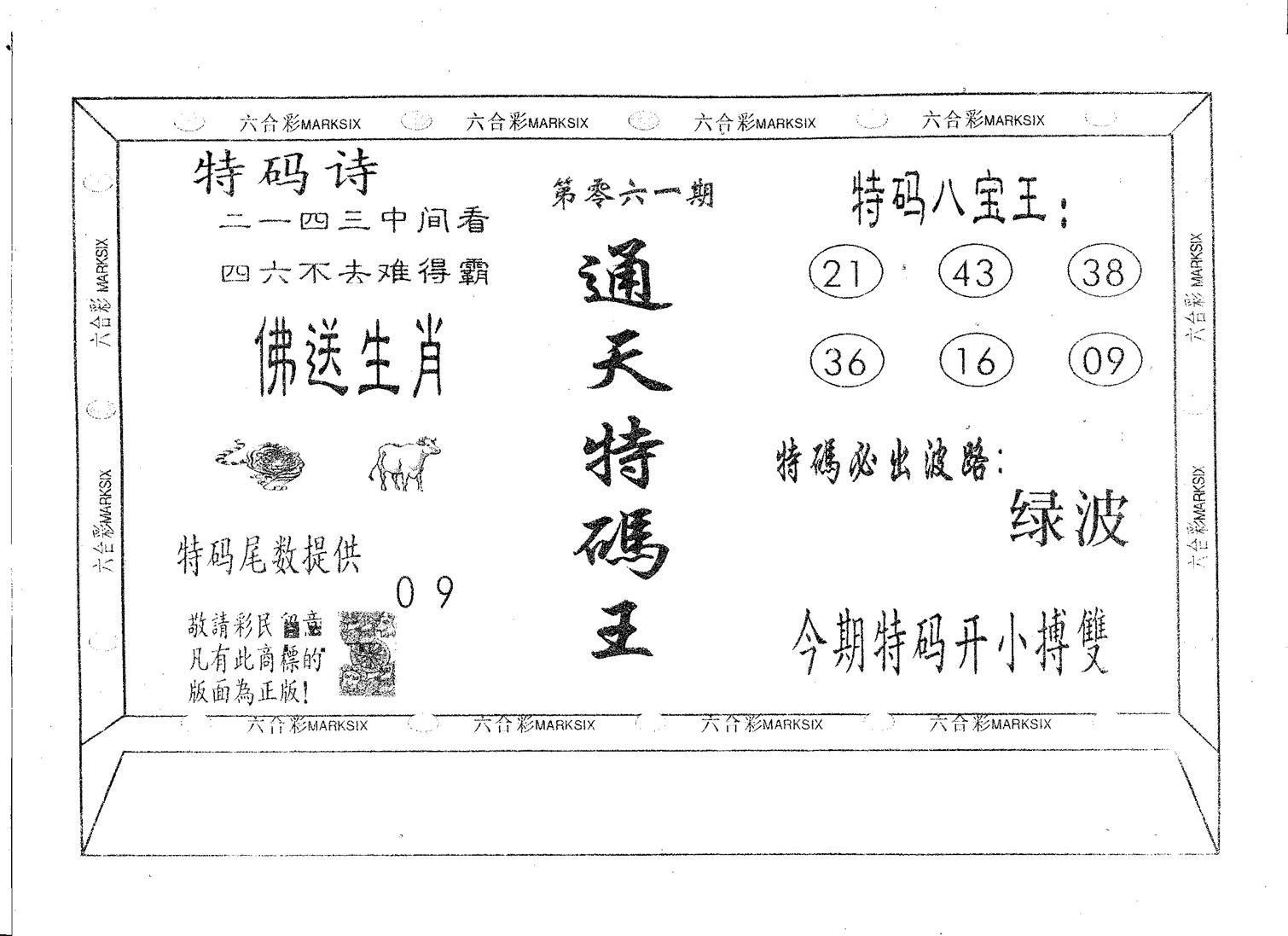 通天特码王-61