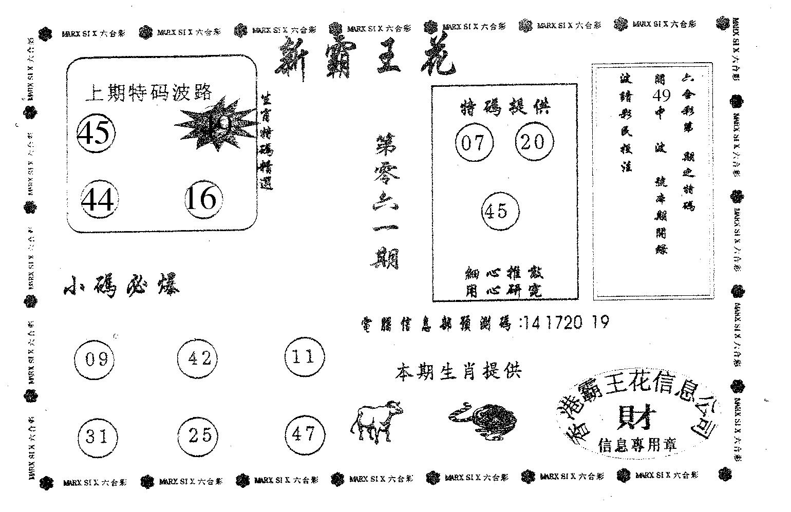 新霸王花-61